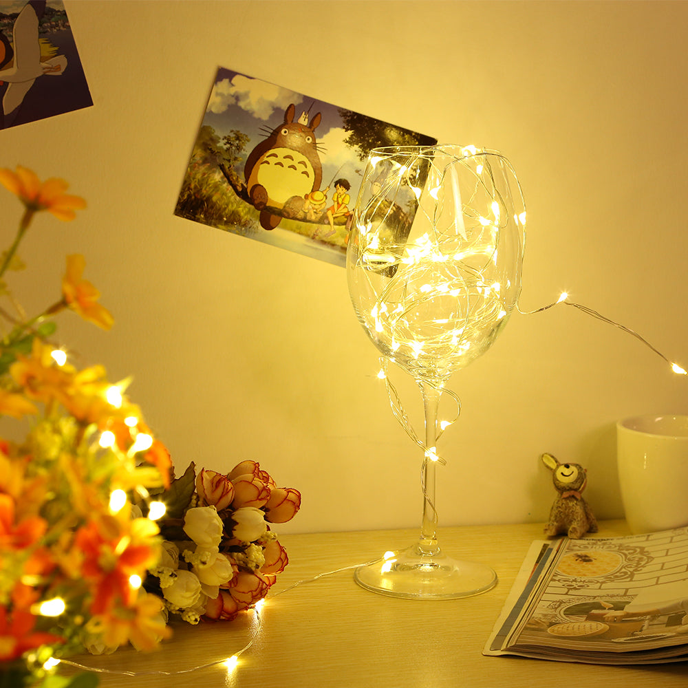 LED Fairy Light Decoration