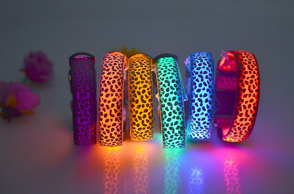 Nylon Safety Glowing LED Pet Collar Night