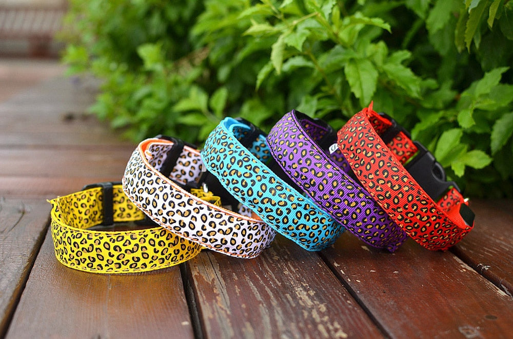 Nylon Safety Glowing LED Pet Collar Night