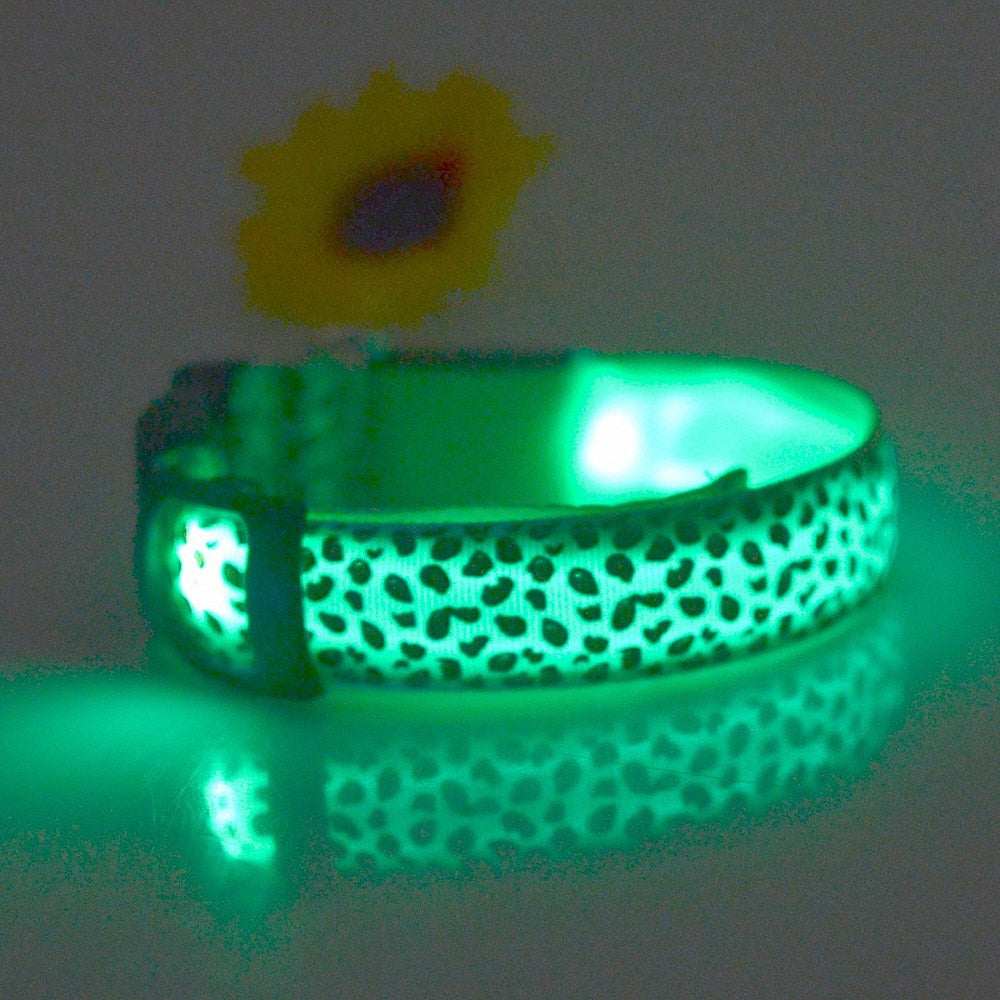 Nylon Safety Glowing LED Pet Collar Night