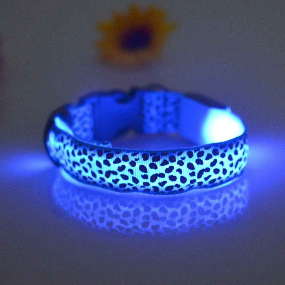 Nylon Safety Glowing LED Pet Collar Night