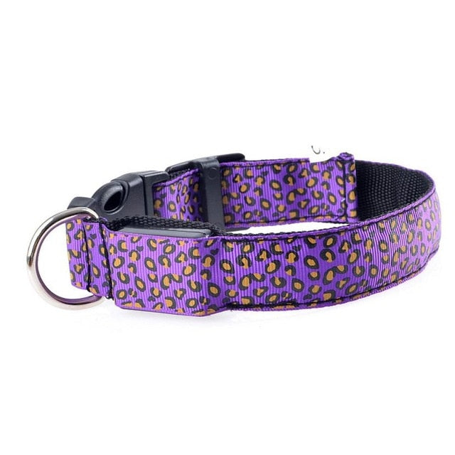 Nylon Safety Glowing LED Pet Collar Night