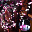 Firecracker LED String Light