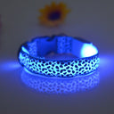 Nylon Safety Glowing LED Pet Collar Night