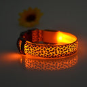 Nylon Safety Glowing LED Pet Collar Night