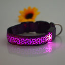 Nylon Safety Glowing LED Pet Collar Night