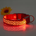 Nylon Safety Glowing LED Pet Collar Night