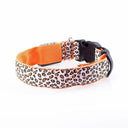 Nylon Safety Glowing LED Pet Collar Night