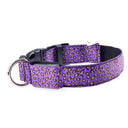 Nylon Safety Glowing LED Pet Collar Night